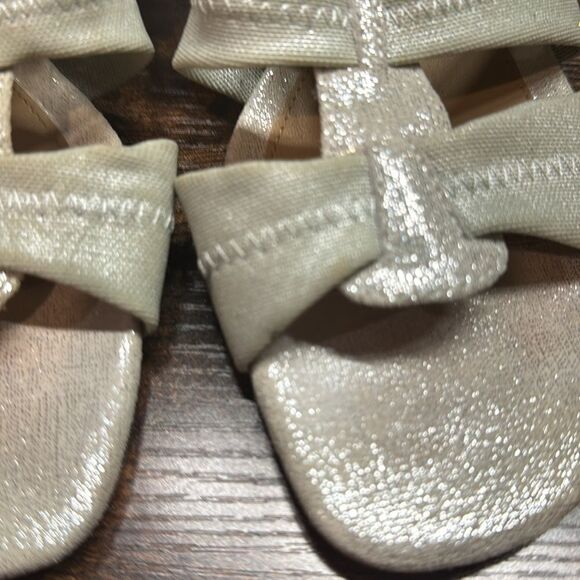 DONALD J PLINER Met Silver HAIA Mesh Elastic Open Toe Mules Sandals Size 8 - Picture 8 of 9